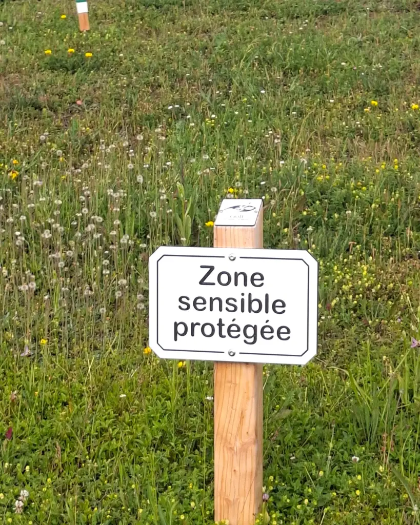 Zone sensible